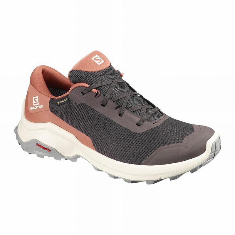 Salomon Singapore Womens Hiking Shoes - X REVEAL GORE-TEX Chocolate | 14736-LVNW